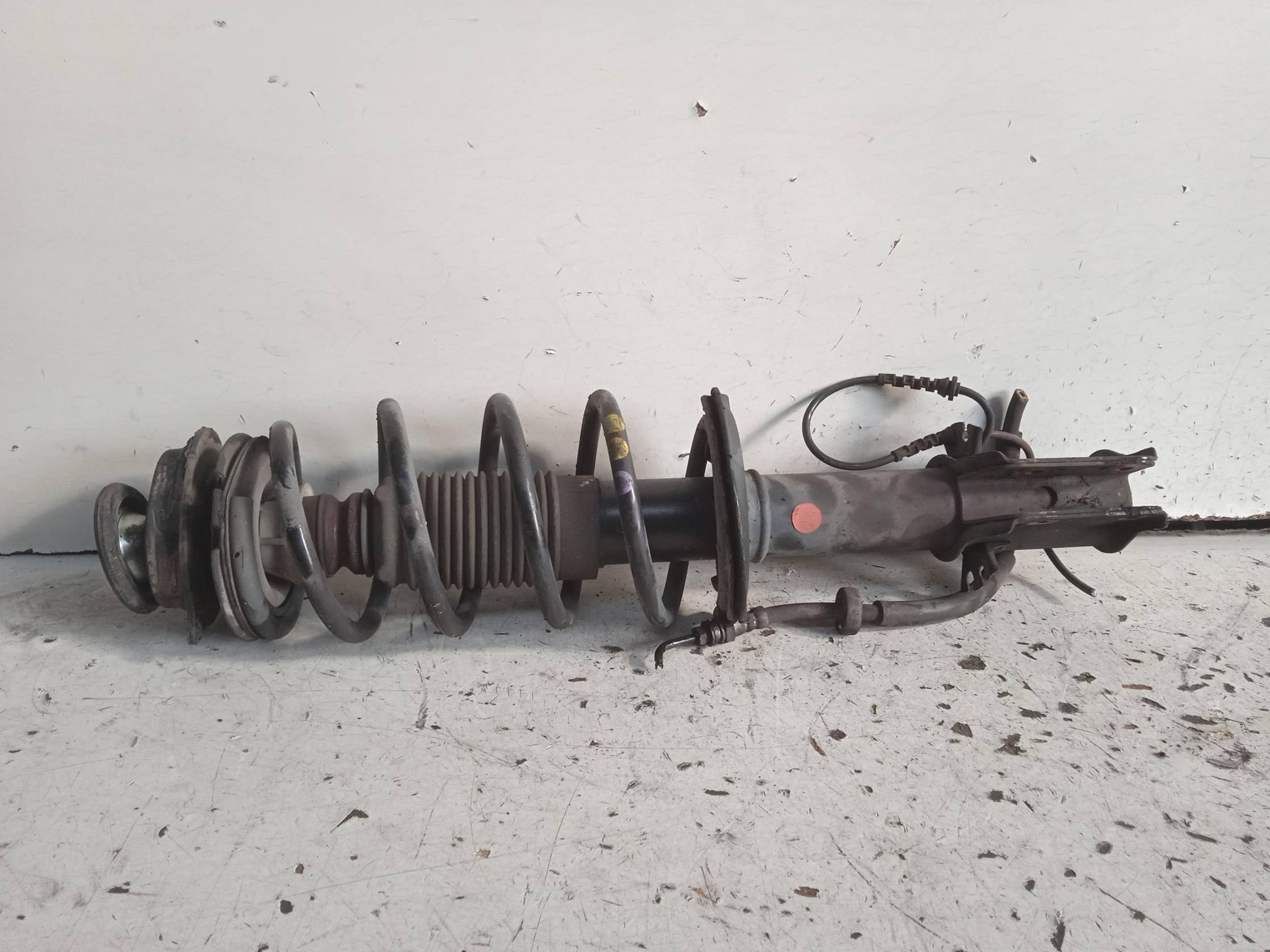 Ammortizzatore ant. sx.